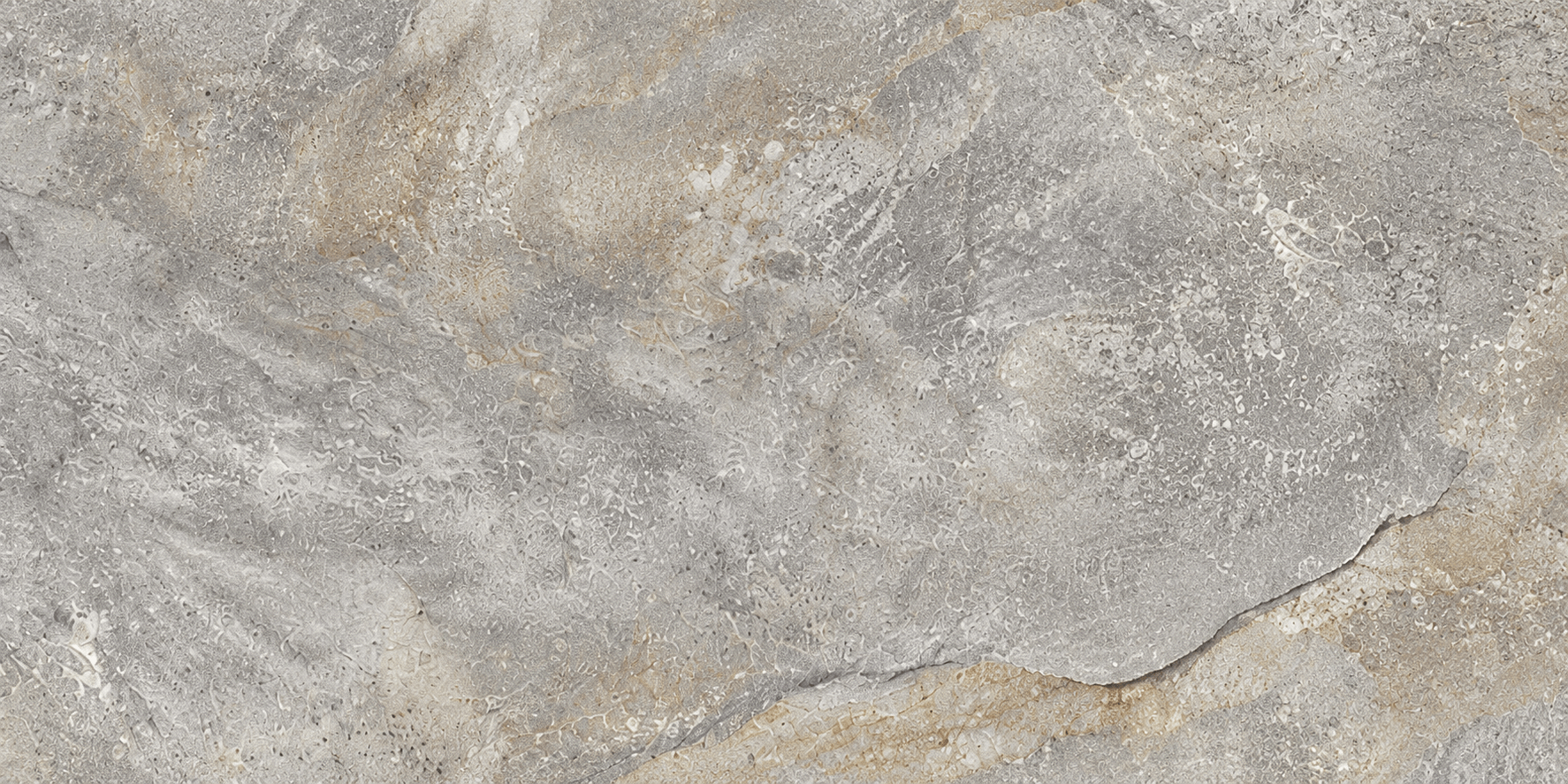 Arenaria Grigio 31x62 cm
