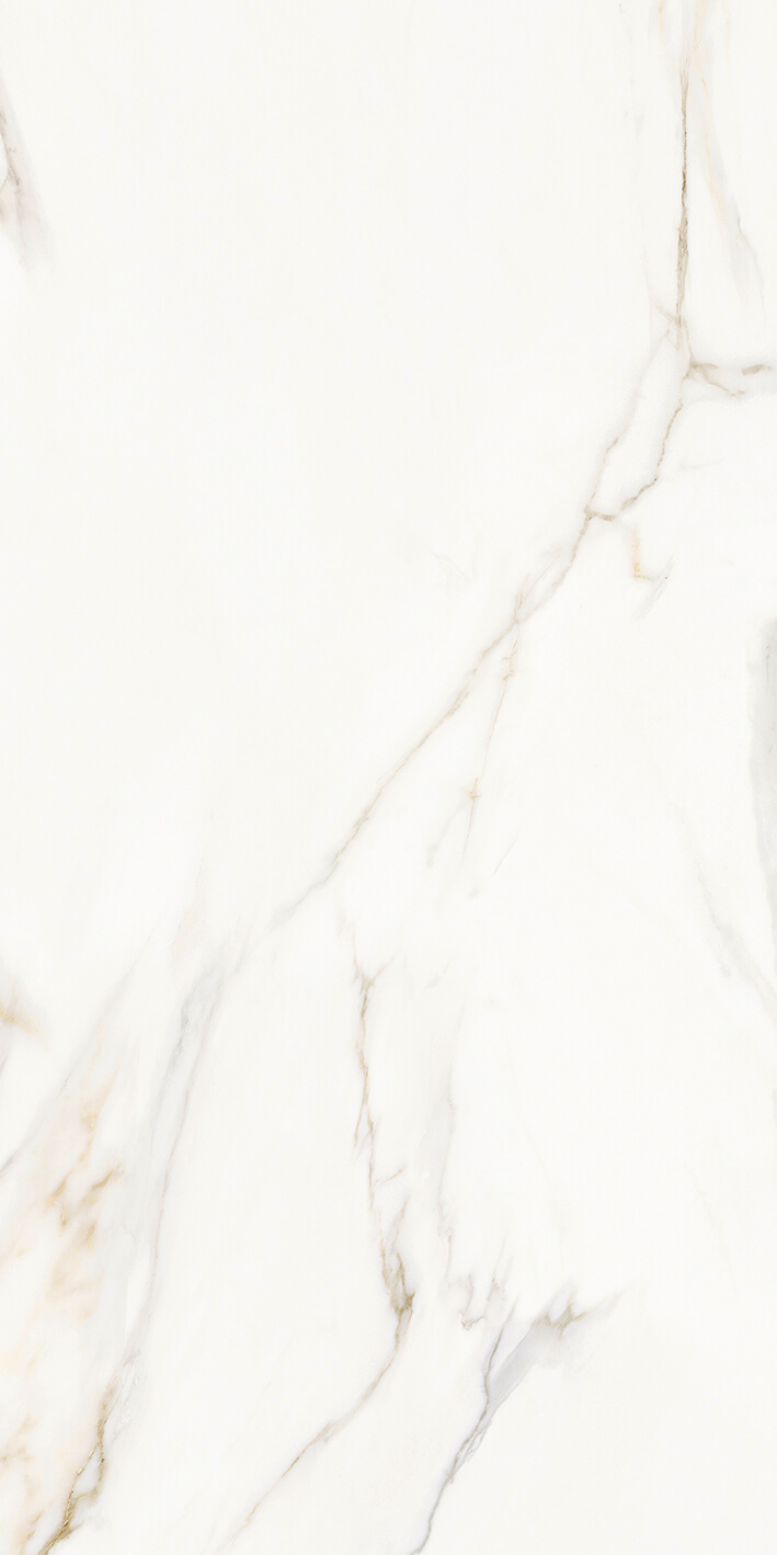 Atelier Pol. 60X120 cm