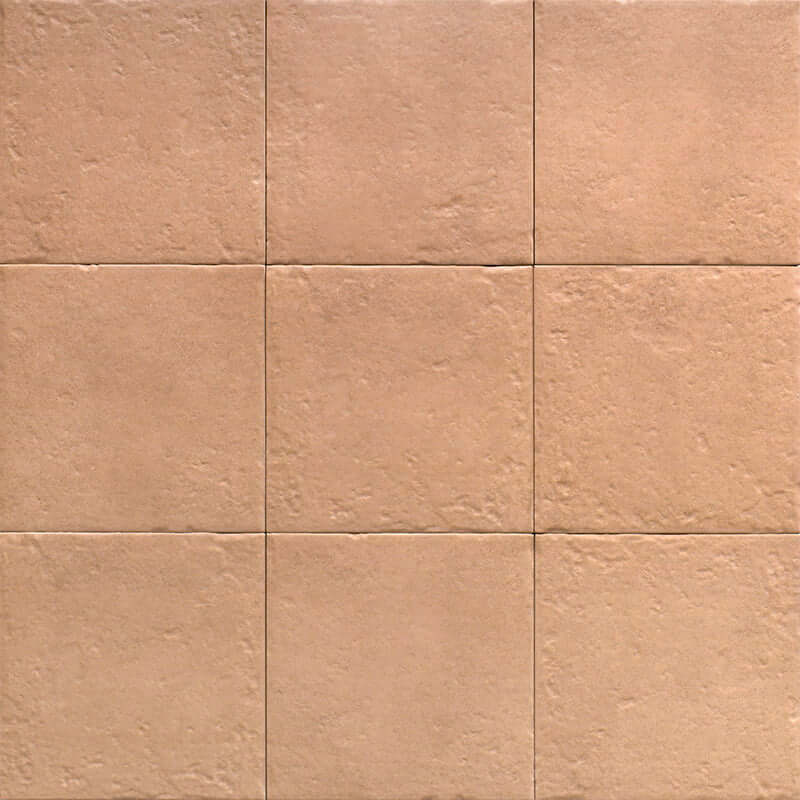 Canem Season 20x20 cm