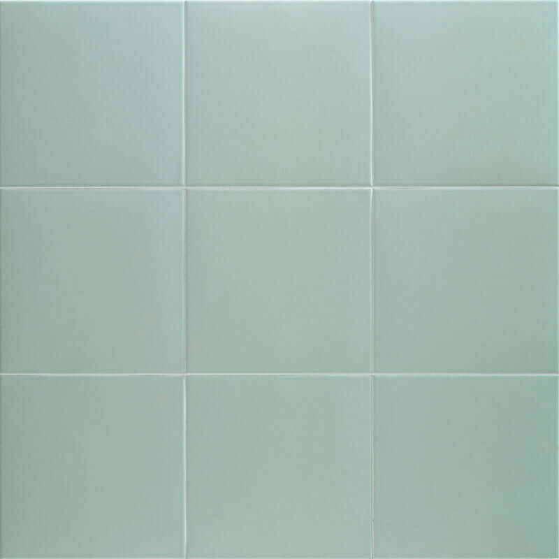 Technical Aloe 20x20 cm