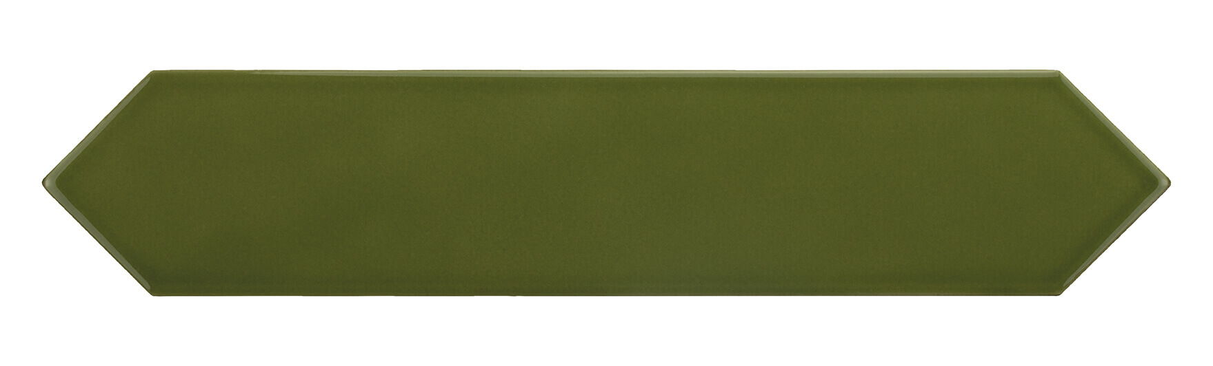 Green Kelp 5x25