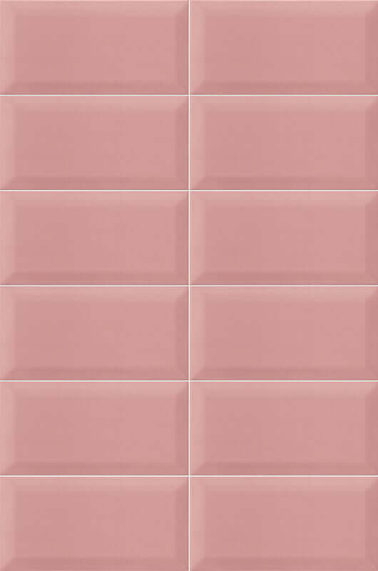 Bissel Pink 10x20